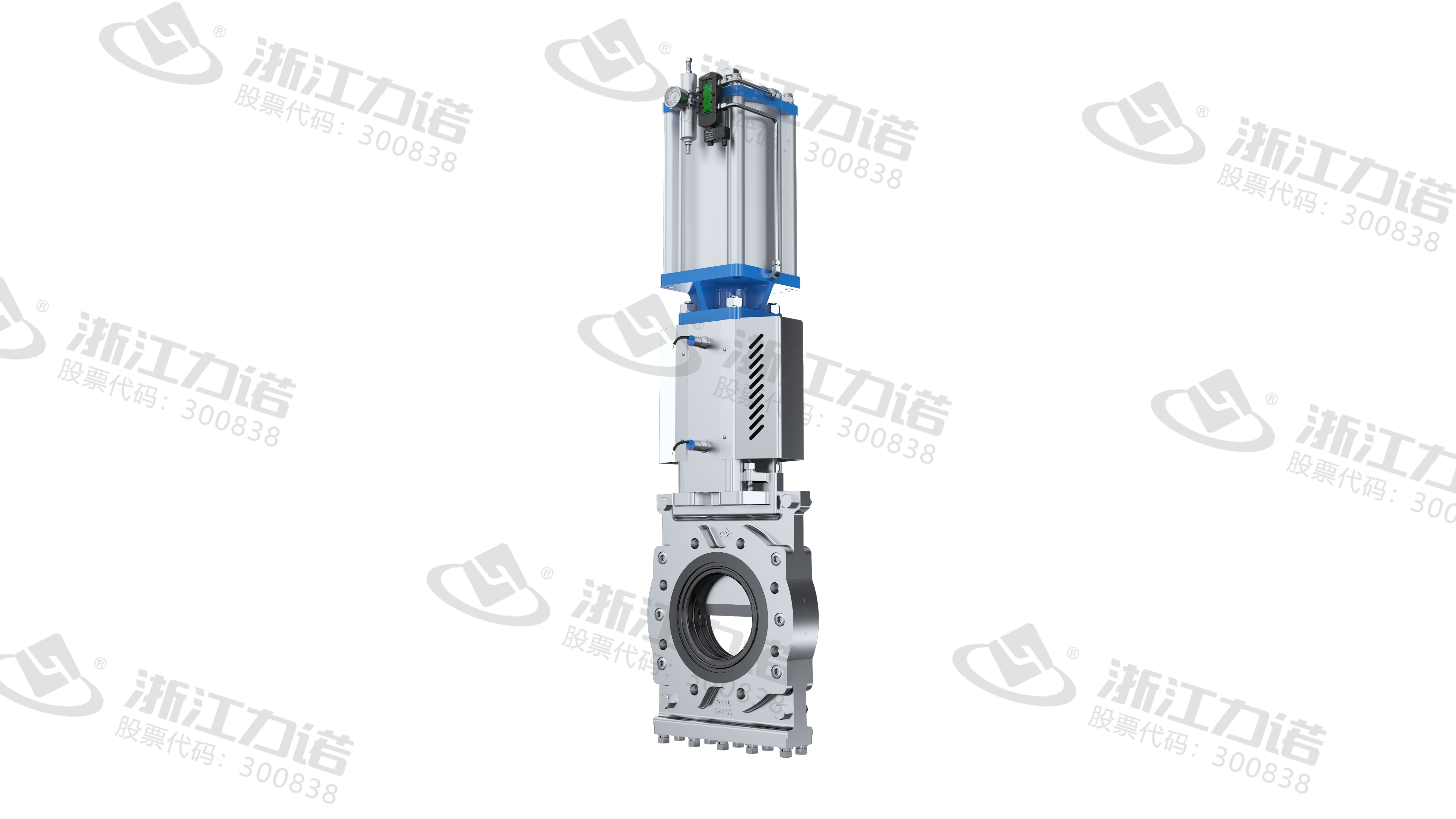 Slurry Knife Gate Valve